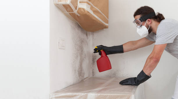 Professional Mold Testing technician working in Holliston, MA